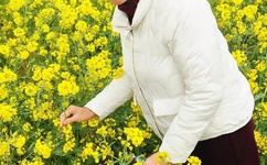 明若晓溪txt下载